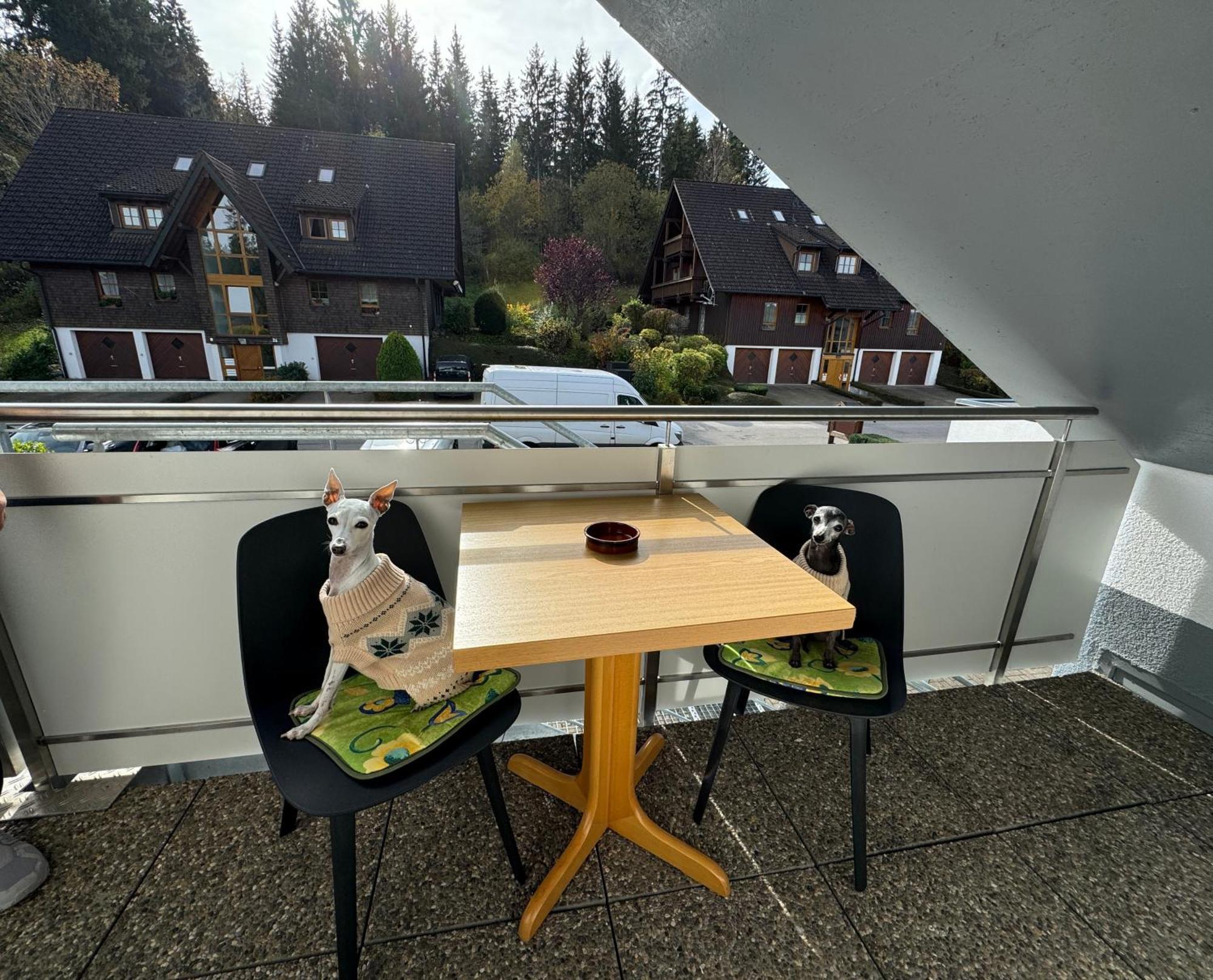 Ferienhaus Frei 4 Compact Hinterzarten Exterior foto